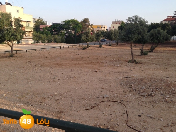 ard el sooq 714 (4).JPG